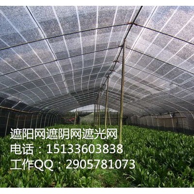 优质黑色遮阴网报价，遮光网厂家成批出售图2
