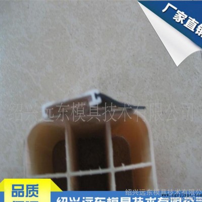 直销  专业 门封条共挤挤出模具图1