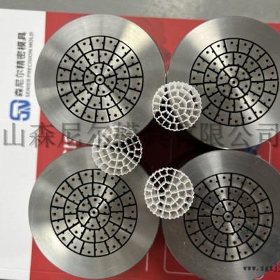 昆山森尼尔模具MBBR生物填料挤出模具图1