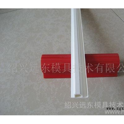 ABS边条挤出模具图3