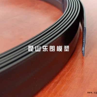 乐朗 座椅卡条挤出模具 (1)图3