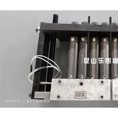 乐朗 PEEK一模八出棒材挤出模具 (1)图3