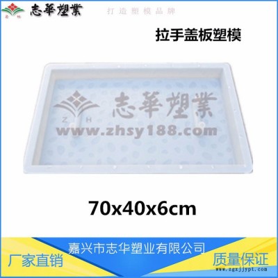 嘉兴志华塑业 ** 价格优惠 质量保证 高铁模具拉手盖板70x40x6塑料模具电缆槽盖板塑料模具图5