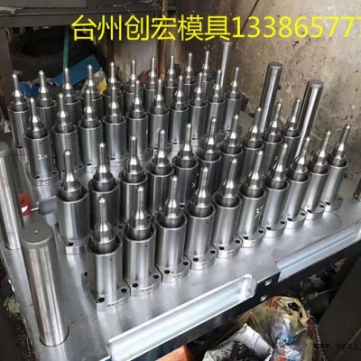 创宏 瓶吹模具 瓶胚模具 瓶盖模具  吹塑模具 塑料瓶模具 饮水瓶模具 模具厂家图2