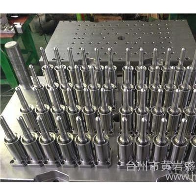 塑料注塑瓶胚模具图2