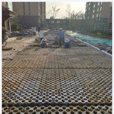 高承载植草地坪模具  高承载植草地坪  植草地坪模具  中创华美图6