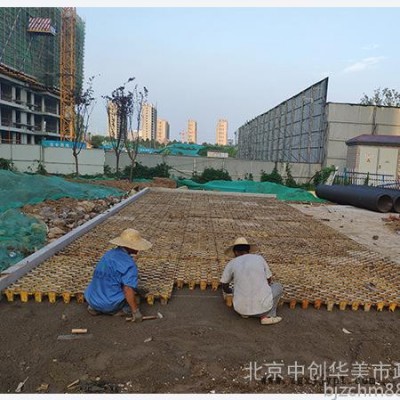 高承载植草地坪模具  高承载植草地坪  植草地坪模具  中创华美图7