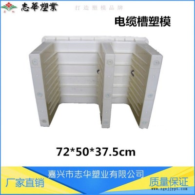 嘉兴 志华塑业 **供应ABS 高铁专用电缆槽模具 E型槽模具 U型槽模具 急流槽模具图1