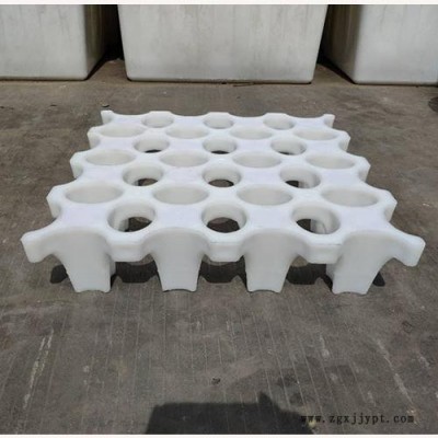 高承载植草地坪模具 植草地坪模具 植草地坪厂家 中创华美图3
