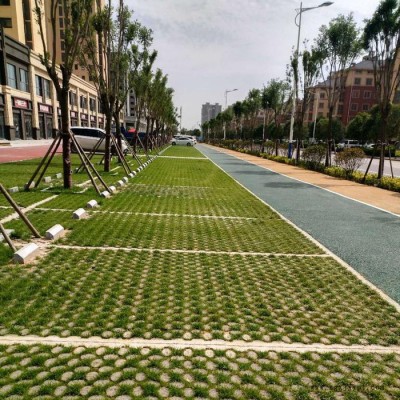 高承载植草地坪模具 植草地坪模具 植草地坪厂家 中创华美图6