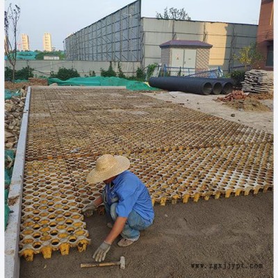 高承载植草地坪模具 植草地坪模具 植草地坪厂家 中创华美图4