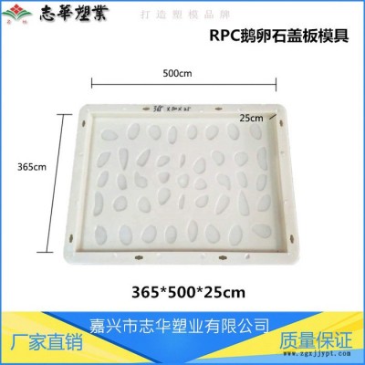 嘉兴志华塑业**供应  RPC盖板模具 鹅卵石盖板模具 高铁鹅卵石塑料模具 防滑ABS盖板模具 盖板塑料模具图4