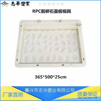 嘉兴志华塑业**供应  RPC盖板模具 鹅卵石盖板模具 高铁鹅卵石塑料模具 防滑ABS盖板模具 盖板塑料模具图1