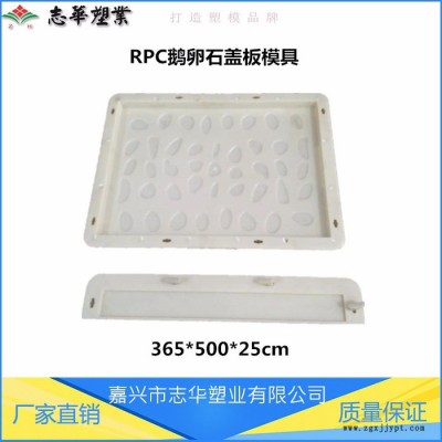 嘉兴志华塑业**供应  RPC盖板模具 鹅卵石盖板模具 高铁鹅卵石塑料模具 防滑ABS盖板模具 盖板塑料模具图2