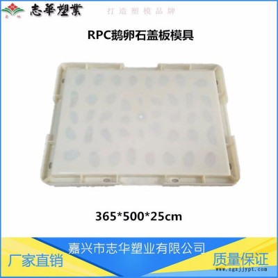 嘉兴志华塑业**供应  RPC盖板模具 鹅卵石盖板模具 高铁鹅卵石塑料模具 防滑ABS盖板模具 盖板塑料模具图3