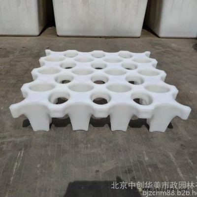高承载植草地坪模具  植草地坪模具  植草地坪  中创华美图3