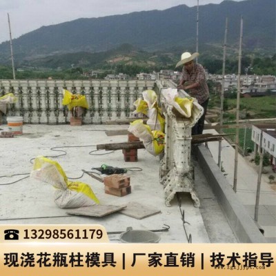 安徽湖南花瓶柱模具_栏杆塑料模具_欧式水泥护栏模具图2