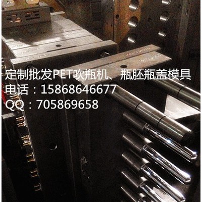 供应瓶胚模具，注塑模具图2