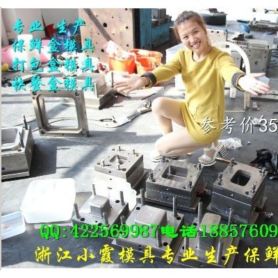 黄岩做一次性饭盒注塑模具厂家图3