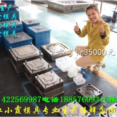台州黄岩注塑模具 5000ml饭盒注射模具供应商图5
