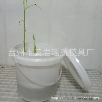 **塑料桶模具 提手水桶 鱼桶 带盖密封水桶注塑模具加工图2