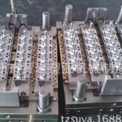 PET塑料瓶胚模具，注塑模具图2