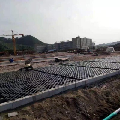 中石易道 植草地坪施工 高承载植草地坪  欢迎来电咨询图2