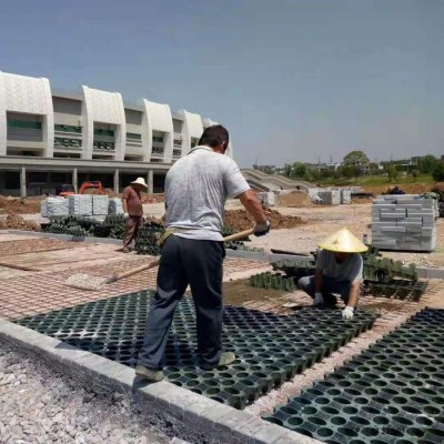 中石易道 植草地坪施工 高承载植草地坪  欢迎来电咨询图7