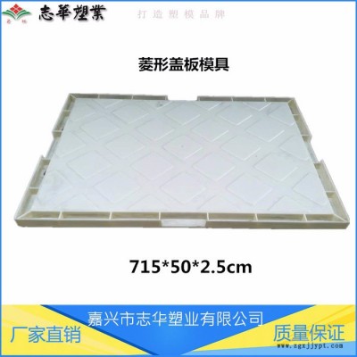嘉兴志华塑业厂家供应 菱形盖板模具 RPC盖板塑料模具 ABS防滑盖板塑模 高铁盖板电缆槽盖板模具图2