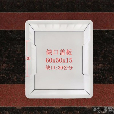 通程模具沟盖板塑料成型模具 平面下水盖塑料模具60x50x15图2