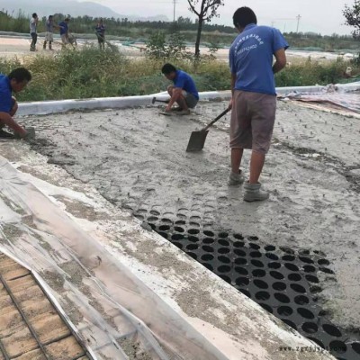中石易道 植草地坪模具出租 高承载植草地坪  欢迎来电咨询图5