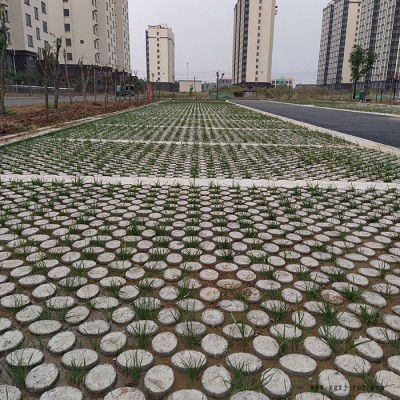 现浇植草地坪 新型透水路面 中创华美图7