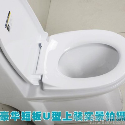 注塑模具厂供应**缓解塑料马桶盖模具制作图1