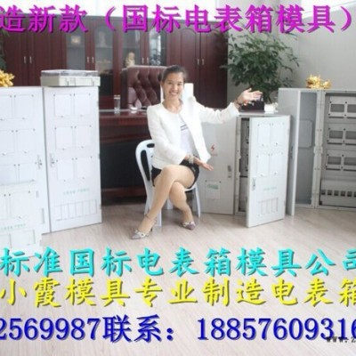 大型注塑模具 新国网三相九电表箱模具厂家地址图4
