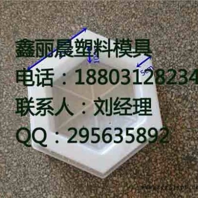 鑫丽晨 高铁塑料护坡模具图2