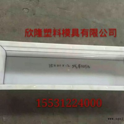 河北欣隆塑料模具厂厂家  塑料模具厂报价  塑料模具厂 公路盖板模具报价图2