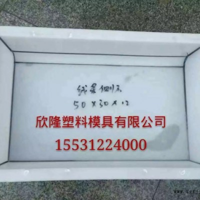 河北欣隆塑料模具厂厂家  塑料模具厂报价  塑料模具厂 公路盖板模具报价图3