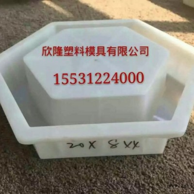 河北欣隆塑料模具厂厂家  塑料模具厂报价  塑料模具厂 公路盖板模具报价图4