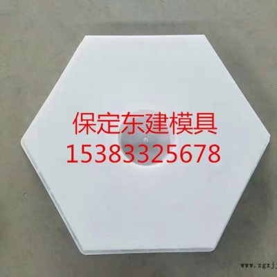 高速公路六棱块模具 保定东建模具专业生产图3