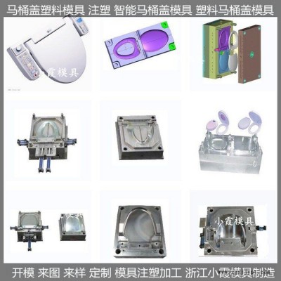 台州注塑模具厂家 塑胶蹲便器模具塑胶坐便器模具图2
