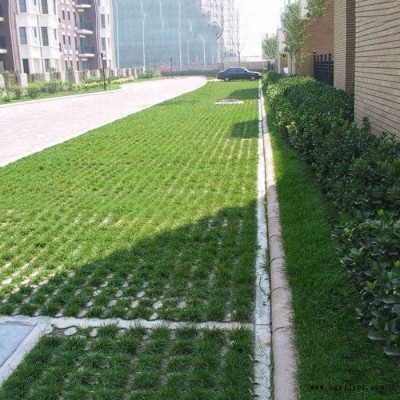 临沂现浇植草地坪 植草地坪模具 中创华美图2