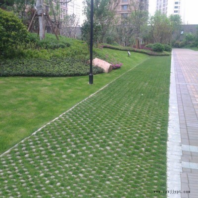 临沂现浇植草地坪 植草地坪模具 中创华美图3