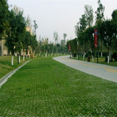 现浇植草地坪 武汉植草地坪 武汉路面施工 高承载植草地坪 中创华美图7