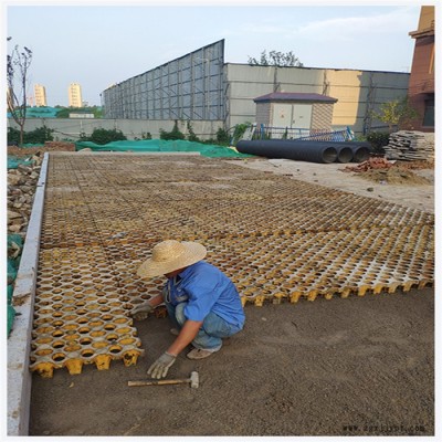 上海植草地坪 上海现浇植草路面 植草地坪模具 高承载植草地坪 中创华美图3
