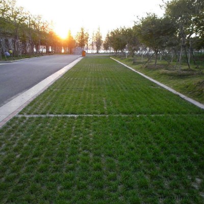 上海植草地坪 上海现浇植草路面 植草地坪模具 高承载植草地坪 中创华美图2
