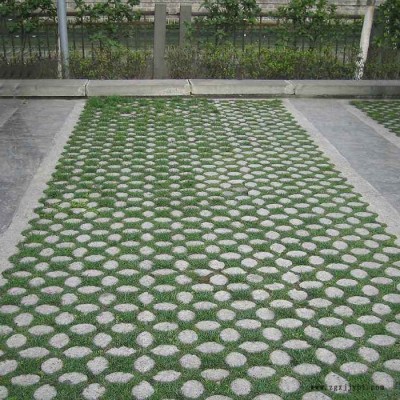 上海植草地坪 上海现浇植草路面 植草地坪模具 高承载植草地坪 中创华美图4