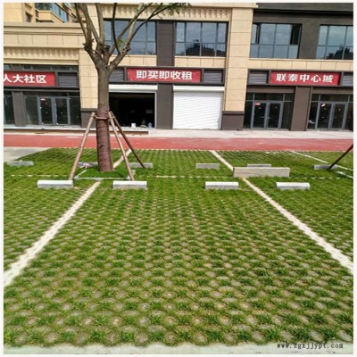 植草地坪施工厂家 现浇植草路面 中创华美图2