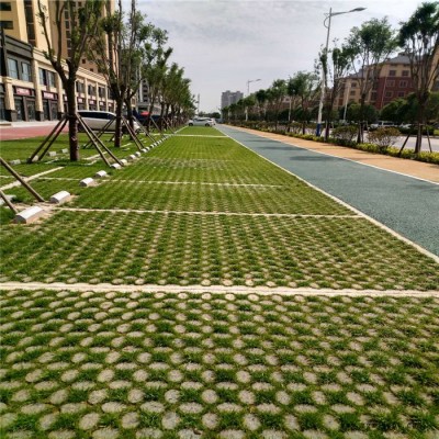 植草地坪模具厂家 青岛植草路面施工 中创华美图1