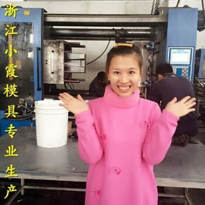 塑胶注塑模具 100升工业垃圾车模具小霞模具厂电话图7