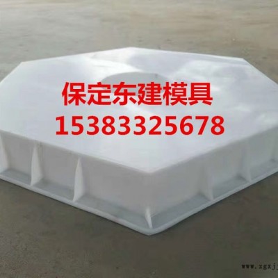 高铁护坡模具加工 高铁护坡模具生产厂家-保定东建模具图6